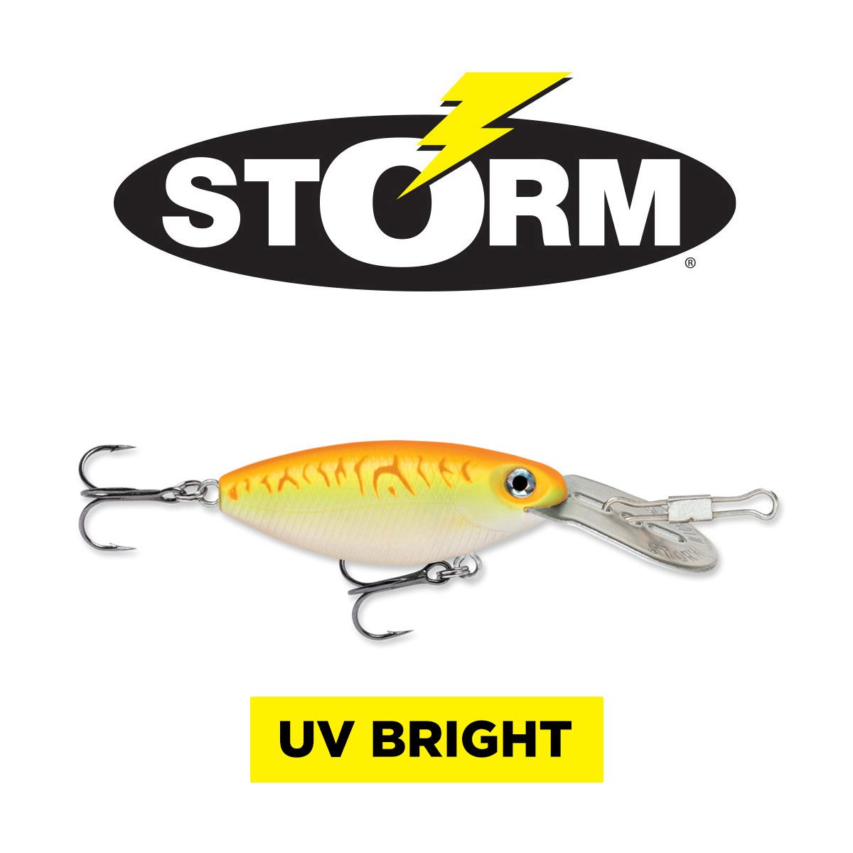 STORM HOT N TOT MAD FLASH 05, Fishing Tackle | Jann's Netcraft